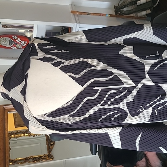 **HP** ISSEY MIYAKE Cape Dress - Picture 17 of 17